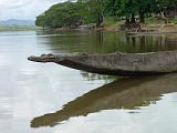 Papua Sepik and Blackwater River (Karavari Timbunke) - 058